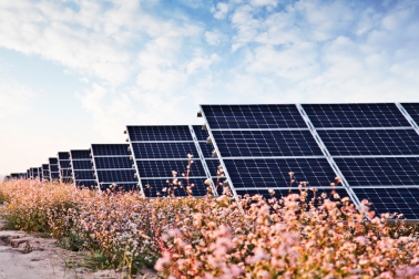 中國(guó)華能的“高性價(jià)比”光伏電站，妙招在這里！